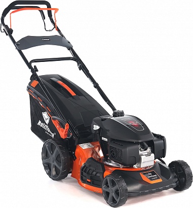 29906_p.jpg